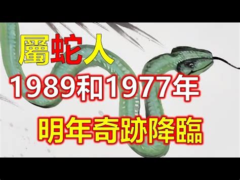 1989蛇|1989属蛇的五行 1989年属蛇蛇是什么命